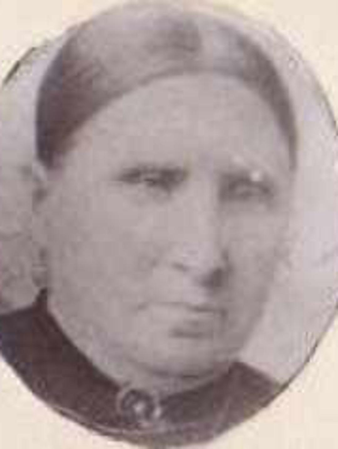Henrietta Bird (1833 - 1910) Profile
